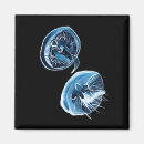 Recherche de animaux sous marins magnets Plage