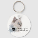 Recherche de chat de ragdoll porteclés Chaton