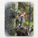 Search for bellis mousepads Wildlife