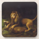 Recherche de mâle dessous de verres Lion