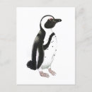 Search for black and white penguin postcards Cute