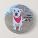 Search for worlds buttons Cute