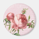 Search for beautiful rose magnets Flowers