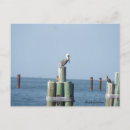 Search for mobile alabama postcards Ocean