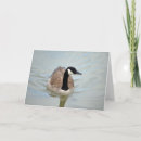 Search for canadian wildlife cards Goose