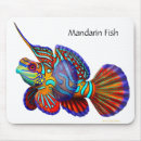 Search for saltwater electronics Tropical fish