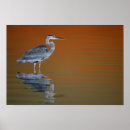 Recherche de aviaire art Floride