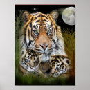 Search for tiger cubs posters Nature