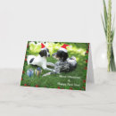 Search for pointer dog cards Pets