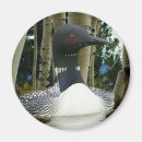 Search for loons magnets Wilderness