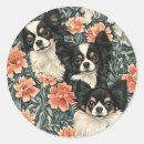 Recherche de tricolor autocollants Dog