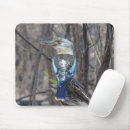 Search for kingfish mousepads Wildlife