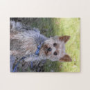Search for yorkie puzzles Cute