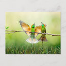 Recherche de apiculture cartes postales Nature