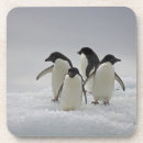 Search for ice barware Penguin