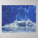 Search for tracie art Fjord