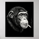 Recherche de singe drôle posters Humour sarcastique