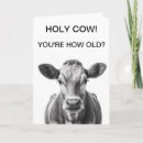 Search for funny farm birthday cards Cow
