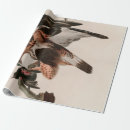 Search for falcon wrapping paper Bird of prey