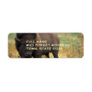 Search for bison return address labels Buffalo