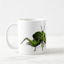 Search for green grasshopper mugs Cricket