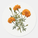 Search for marigold flower stickers Garden