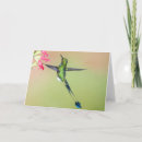 Search for long tailed cards Nature