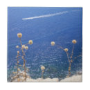 Search for sea tiles Blue