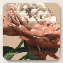 Search for red rose coasters Botanical