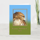 Search for hawk birthday cards Animals
