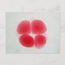 Search for fertility postcards Biology