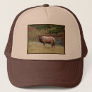 Search for bull elk hats Animals