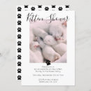 Search for cat adoption invitations Kitten