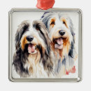 Recherche de colley ornements Chien