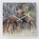 Recherche de newborn posters Bébé