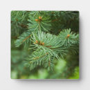 Search for christmas tree plaques Pine trees