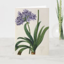 Recherche de redoute vœux cartes Pierre