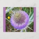 Search for purple flower pattern postcards Summer