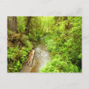 Search for lost horizontal postcards Landscape