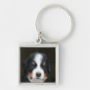 Search for bernese mountain dogs keychains Pet