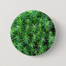 Search for moss buttons Nature