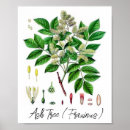 Search for norse mythology art Tree of life