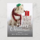 Search for people christmas cards Canine