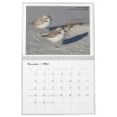 Recherche de oiseau calendriers Nature