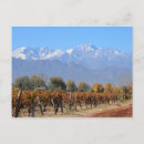 Search for argentina postcards Winery