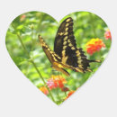 Search for bright butterfly stickers Garden