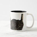 Search for domestic cats mugs Tabby