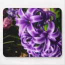 Search for hyacinth mousepads Nature