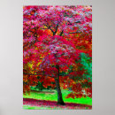 Recherche de érable rouge posters Arbres