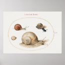 Recherche de escargot mignon posters Escargots